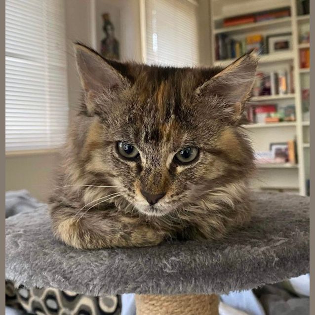 Photo of 🍒 Cherry