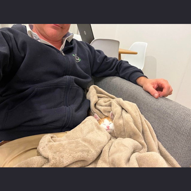 Photo of Passionfruit