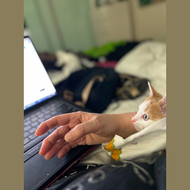 Photo of Passionfruit