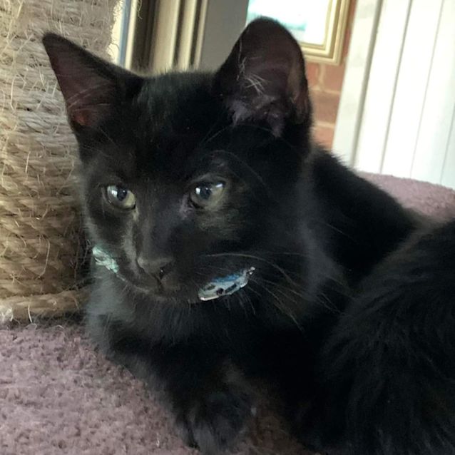 Photo of Luca