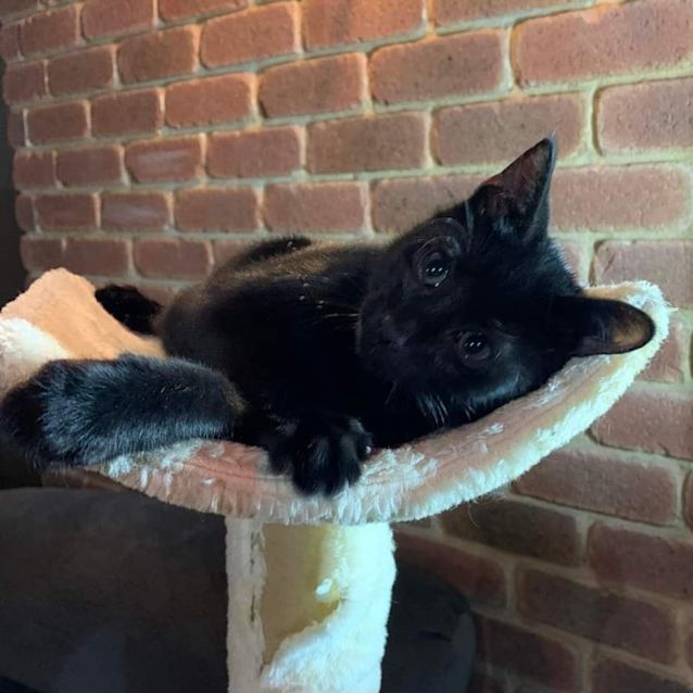 Photo of Luca