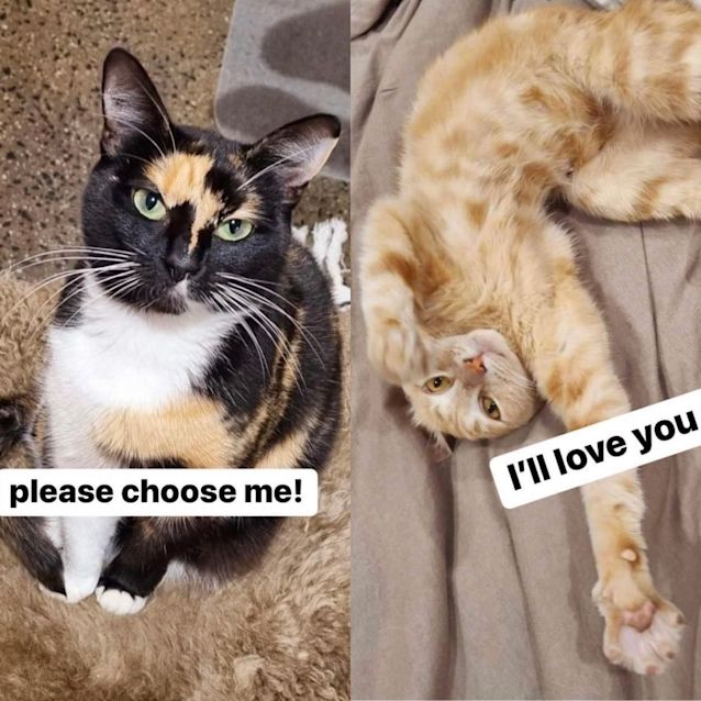 Photo of Ollie And Lily 