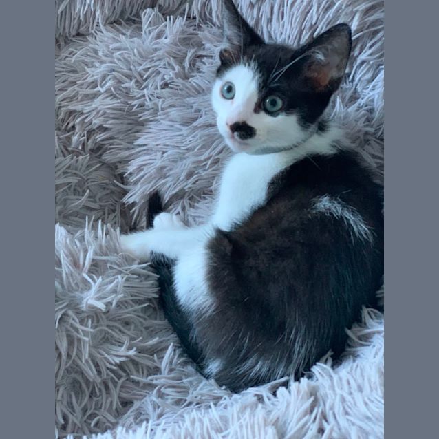 Photo of Jordan😻😻😻😻