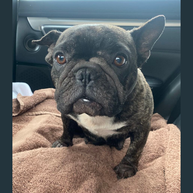 Photo of Prada