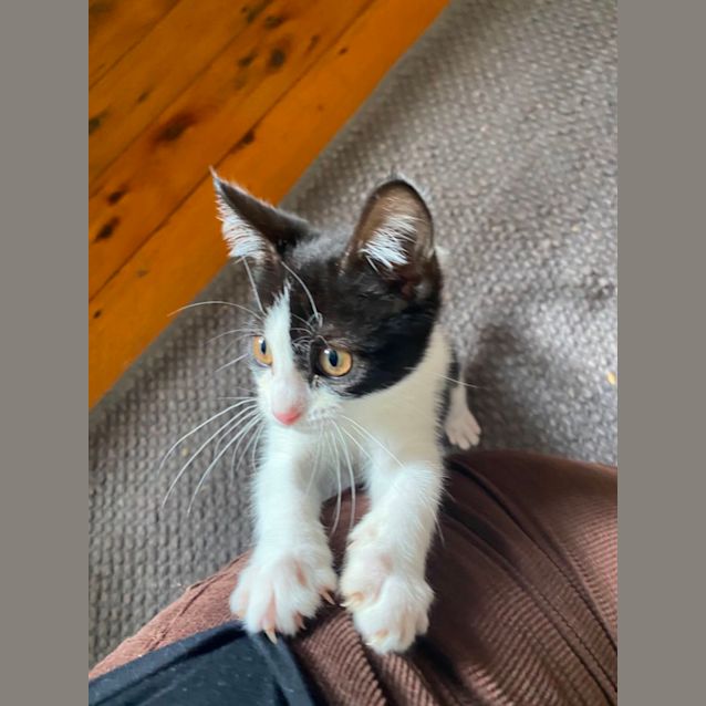 Photo of Darcie 🌸