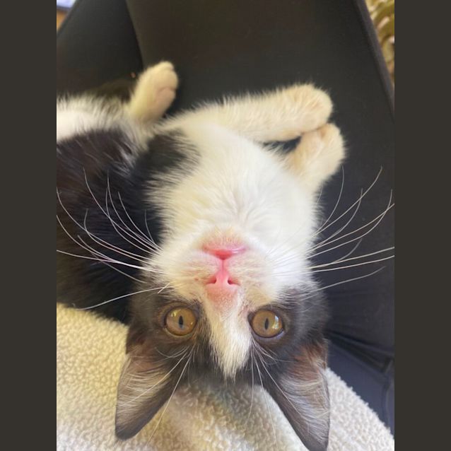 Photo of Darcie 🌸