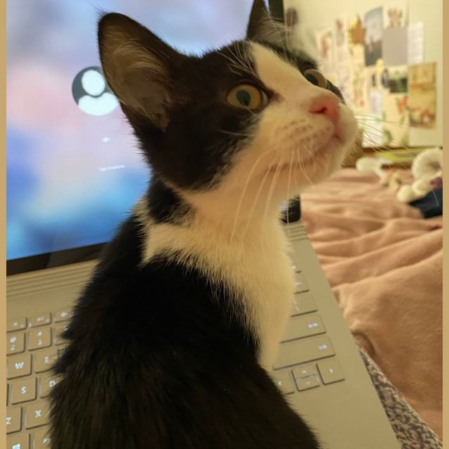 Photo of Darcie 🌸