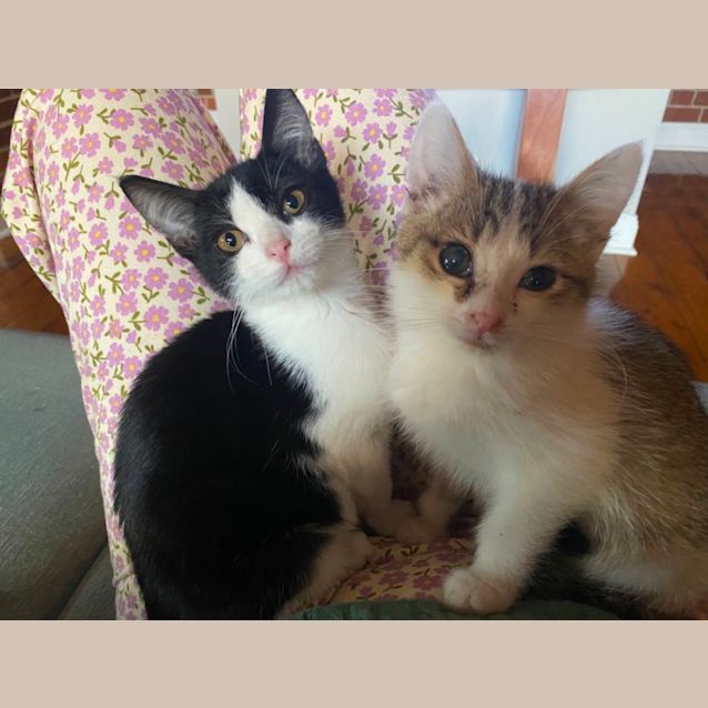 Photo of Darcie 🌸