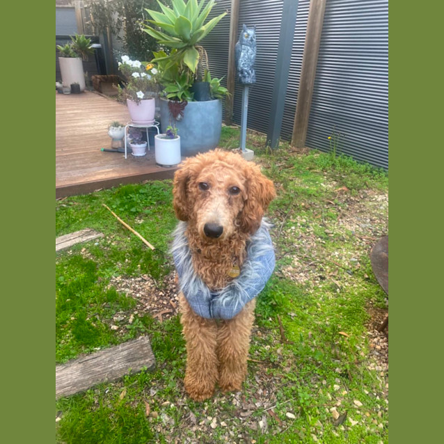 Photo of Molly 