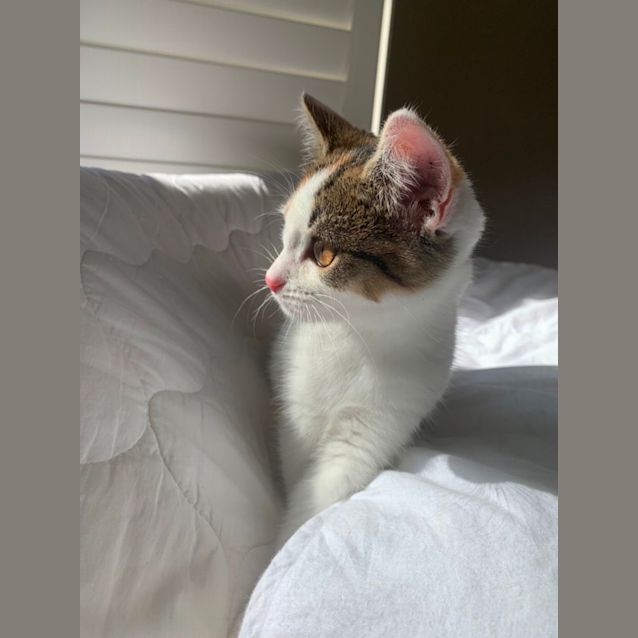 Photo of Elli May & Tinker Bell