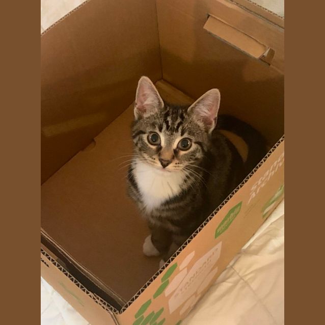 Photo of Elli May & Tinker Bell