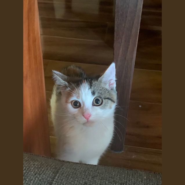 Photo of Elli May & Tinker Bell