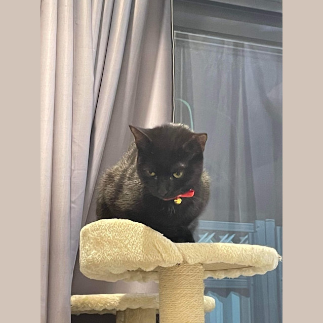 Photo of Jiji
