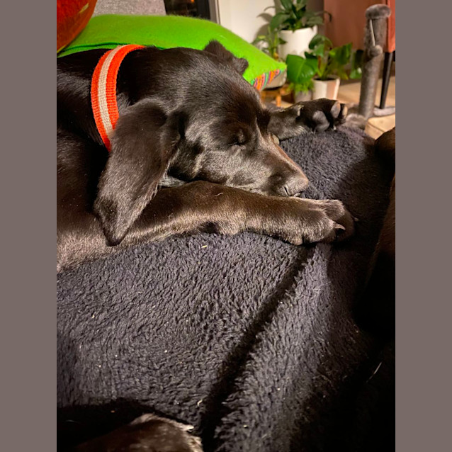 Photo of Obi Jubbington
