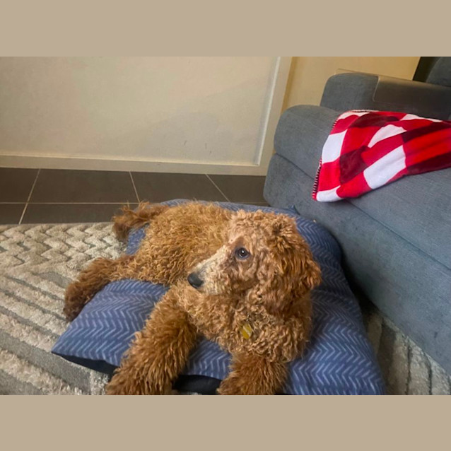 Photo of Molly 
