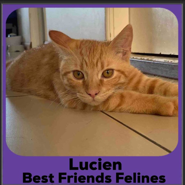 Photo of Lucien 