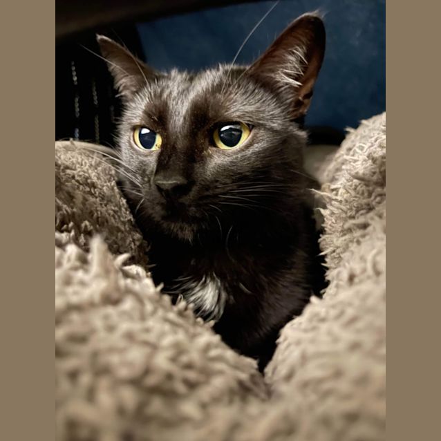 Photo of Klaus & Kora 