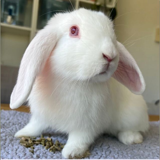 Photo of Jasper Skye