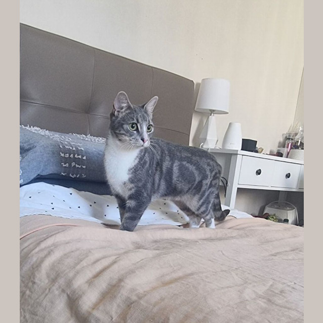 Photo of Fiona