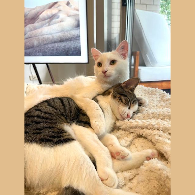 Photo of Wilma And Wendy