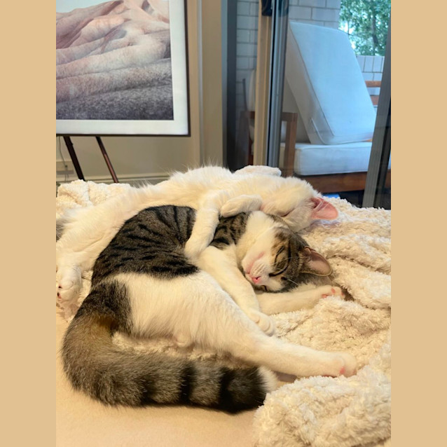 Photo of Wilma And Wendy