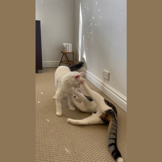 Photo of Wilma And Wendy