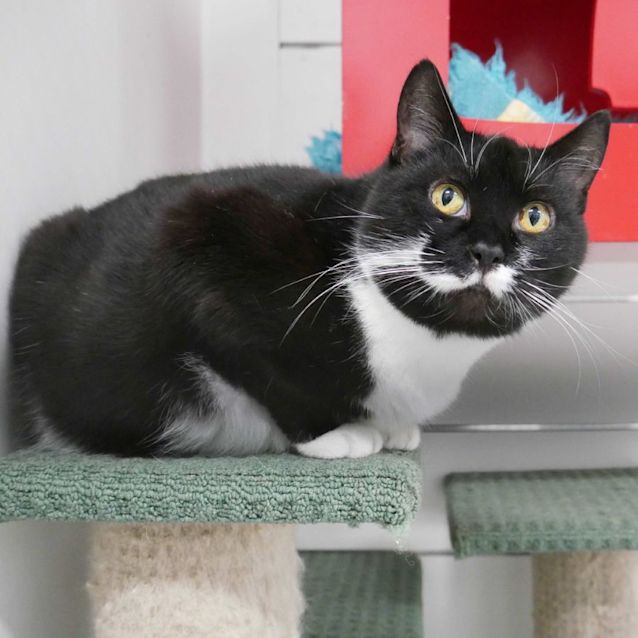 Photo of Stella Sua010912