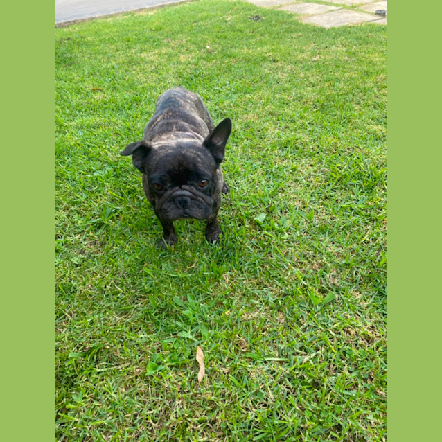 Photo of Prada