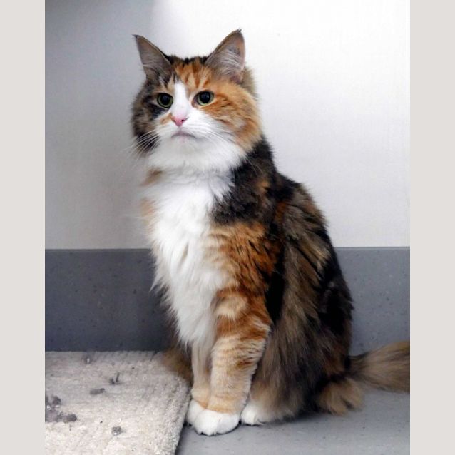 Photo of Mia Sua011096