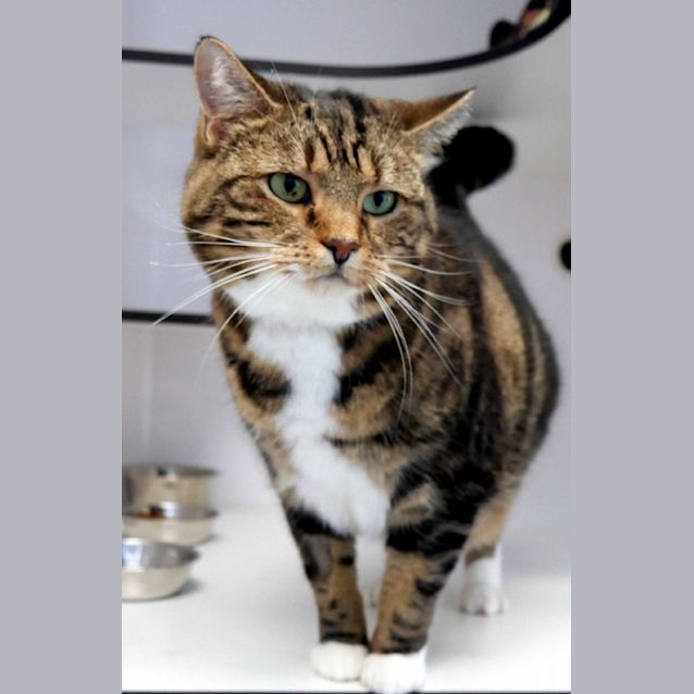 Photo of Micky & Minnie Sua011254 Sua011255