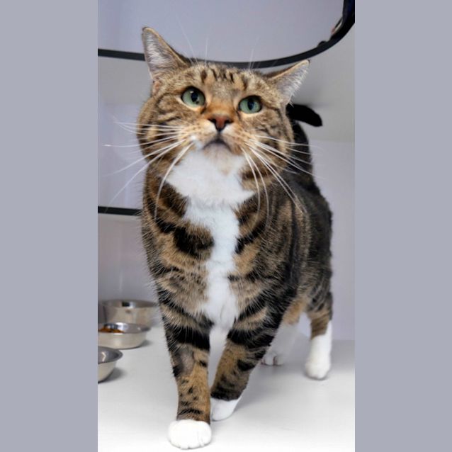 Photo of Micky & Minnie Sua011254 Sua011255