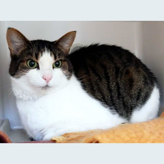 Photo of Micky & Minnie Sua011254 Sua011255