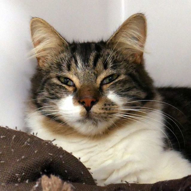 Photo of Ray Sta011149