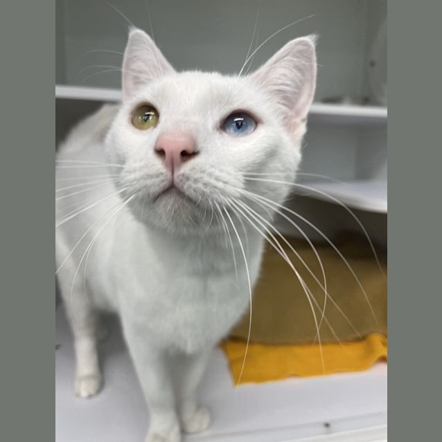 Photo of Frosty