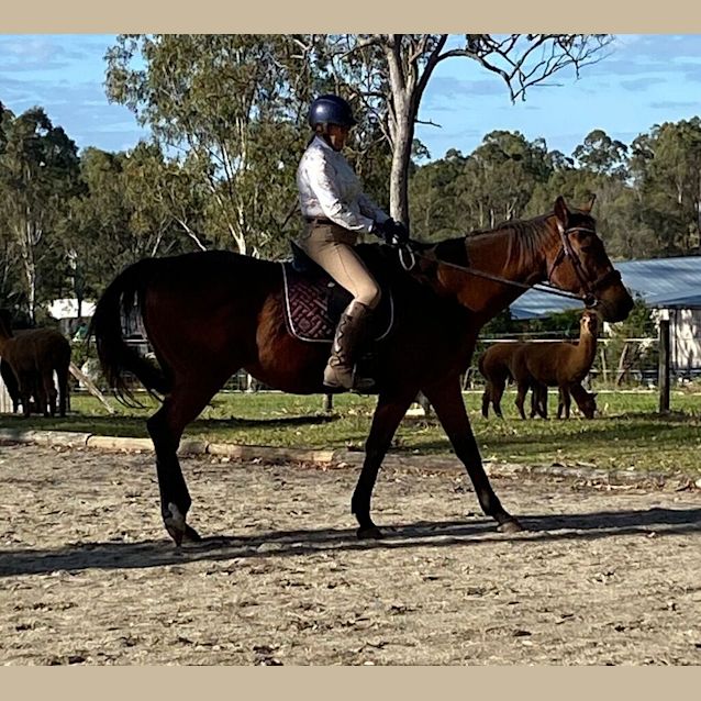 Photo of Barney