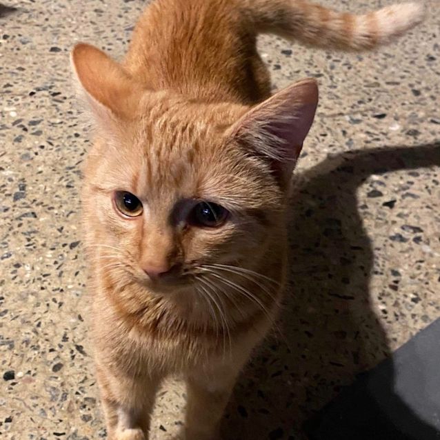 Photo of Luna