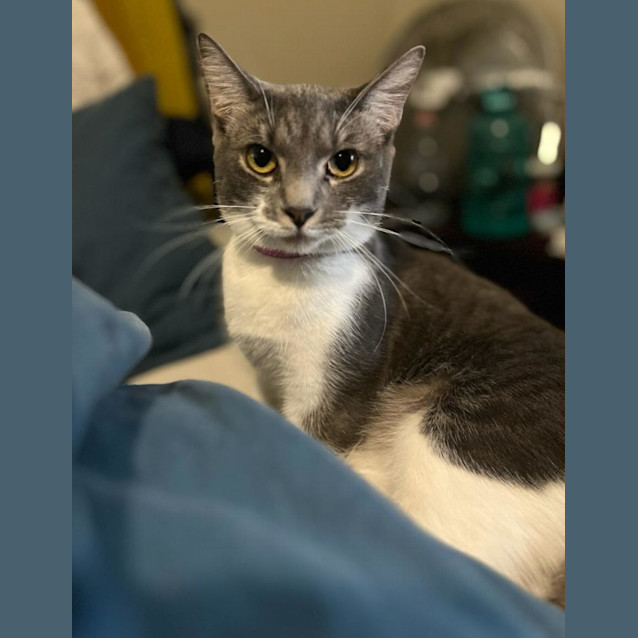 Photo of Storm