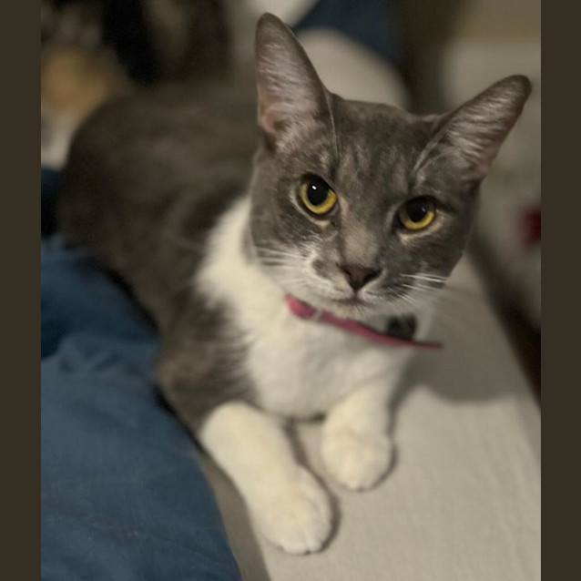 Photo of Storm