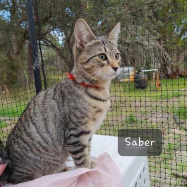 Photo of Sabre
