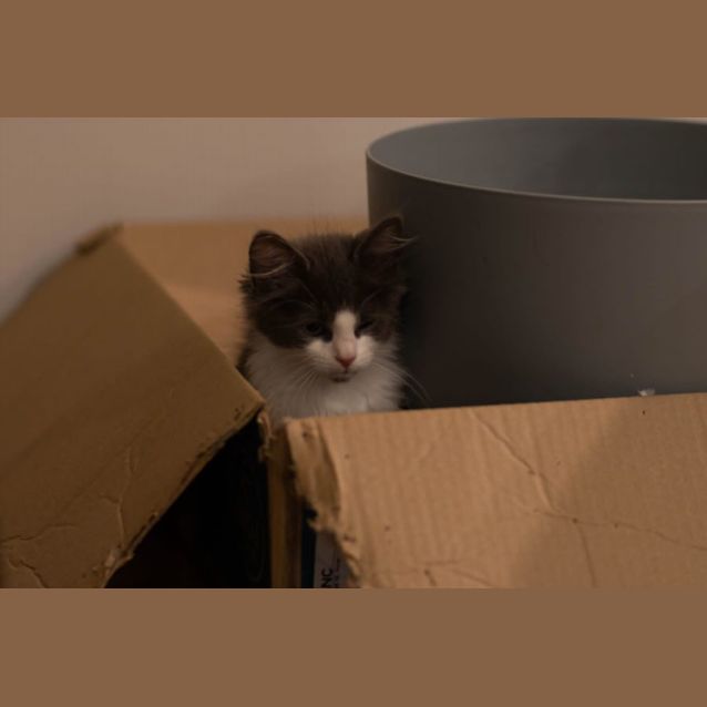 Photo of Ralph