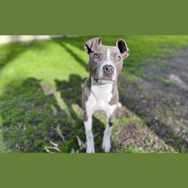 Photo of Angel