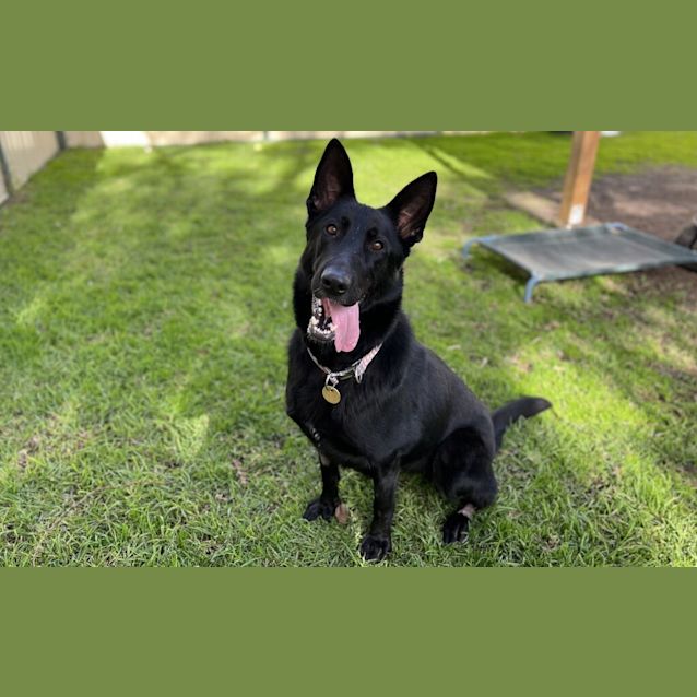 Photo of Morgan