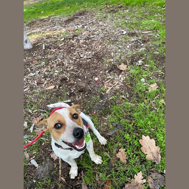 Photo of Harley