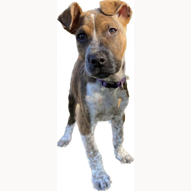 Photo of Bronx