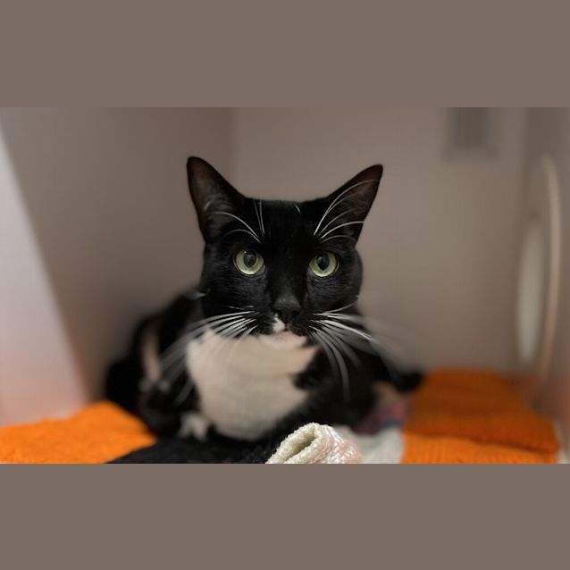 Photo of Pippa