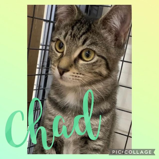 Photo of Chad 