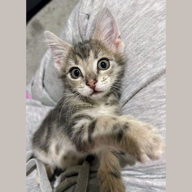 Photo of Ruth & Marie