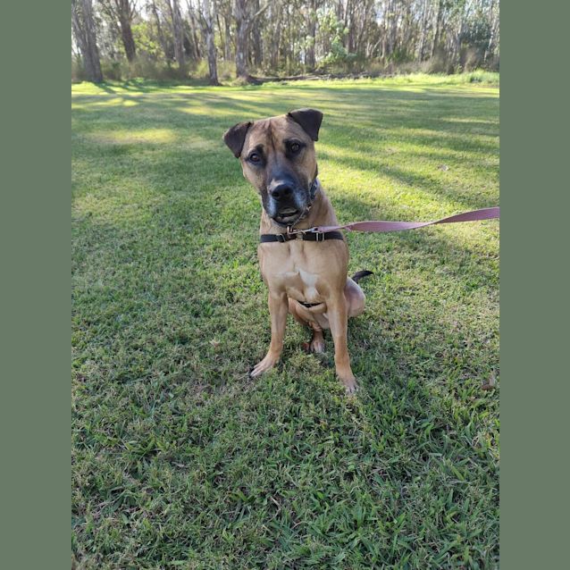 Photo of Thor