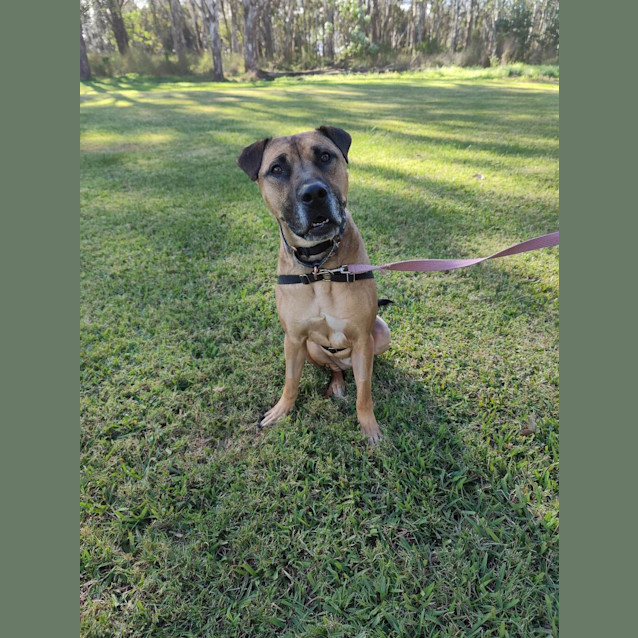 Photo of Thor