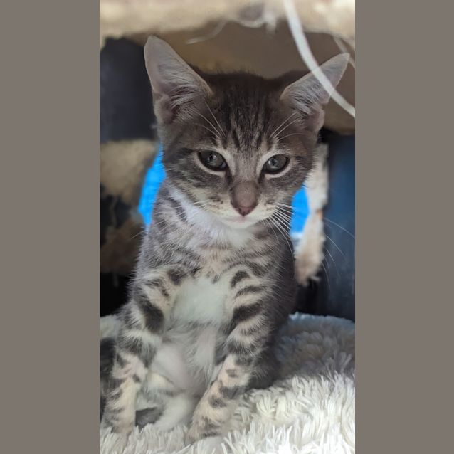 Photo of Remi